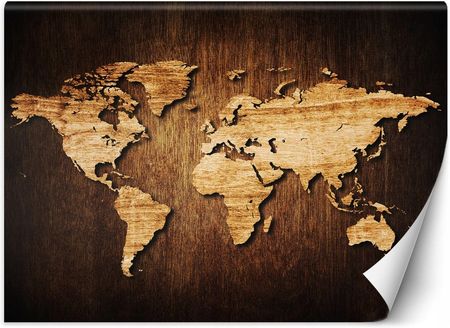 Feeby Mapa Świata Na Drewnie 450x315