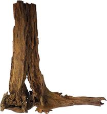 Zdjęcie Aquario Philippines Classic Driftwood drzewo mangrowca z wody XXL 70cm - 110cm - Ruda Śląska