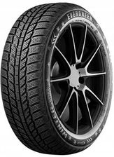 Evergreen Ew 62 205/45R16 87H Xl