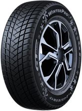 Gt Radial Winterpro 2 195/65R15 95T Xl