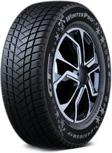 Gt Radial Winterpro 2 165/70R13 79T