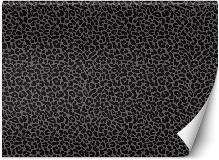Feeby Pantera Leopard Tekstura Wzór 200x140