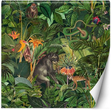 Feeby Dżungla Zwierzęta Zielone Liście Andrea Haase 300x300