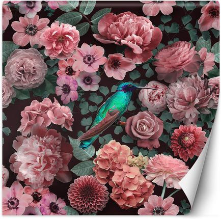 Feeby Kwiaty Róże Różowe Ptak Natura Andrea Haase 100x100