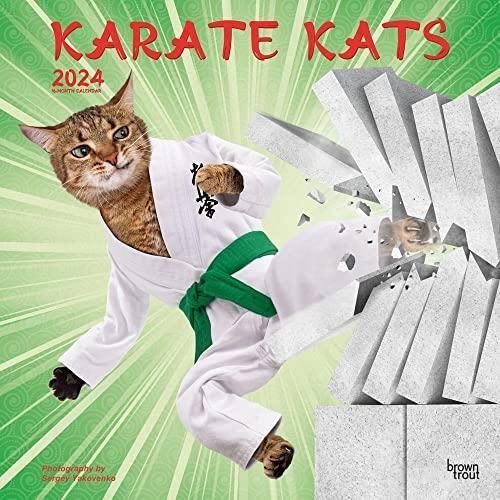 Karate Kats 2024 Square Literatura Obcoj Zyczna Ceny I Opinie   I Karate Kats 2024 Square 