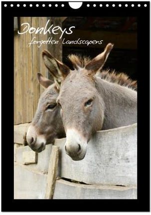 Donkeys - forgotten landscapers (Wall Calendar 2024 DIN A4 portrait), CALVENDO 12 Month Wall Calendar