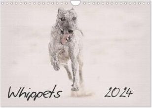 Whippets 2024 (Wall Calendar 2024 DIN A4 landscape), CALVENDO 12 Month Wall Calendar