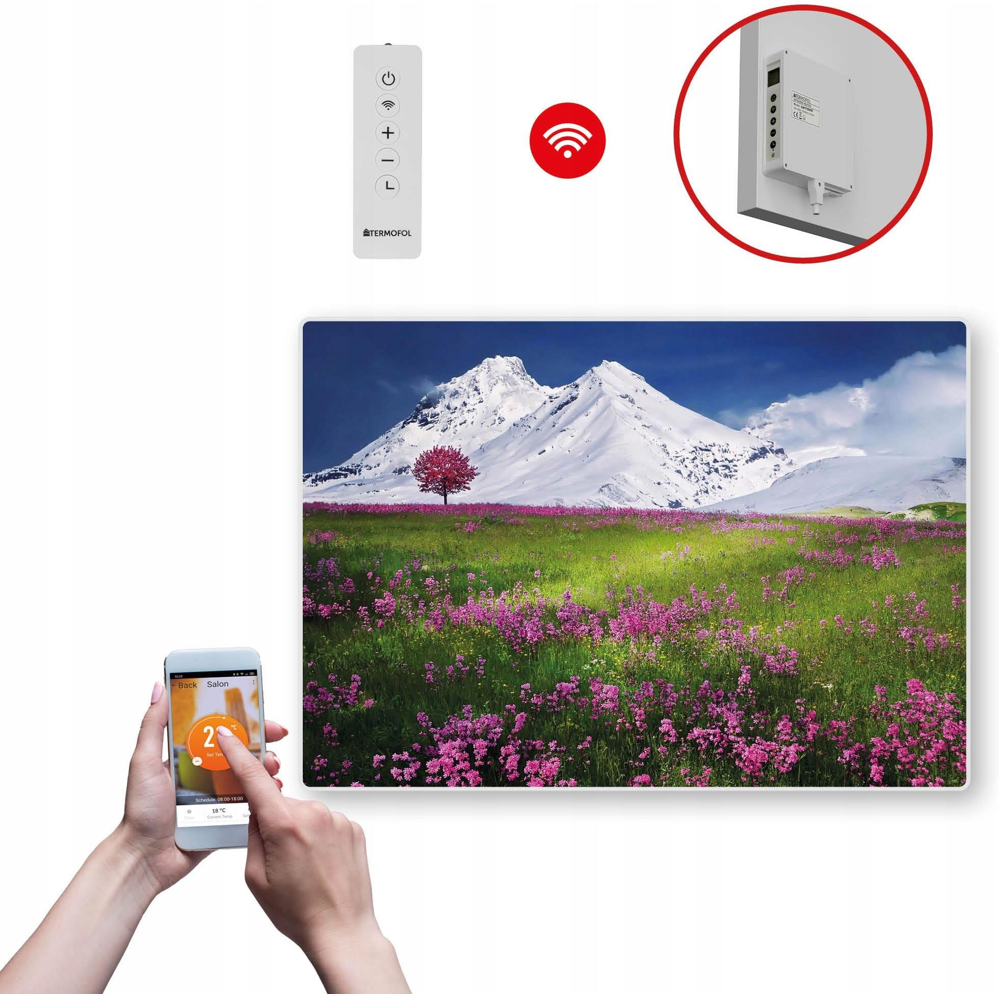 Termofol Grzejnik Na Podczerwień Obraz 500W 85x60cm Wifi TFSWT70016
