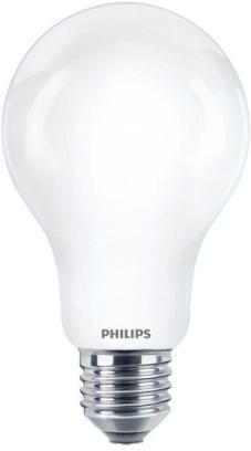 Philips Żarówka Led E27 13W 6500K A67 (Ekzph555)