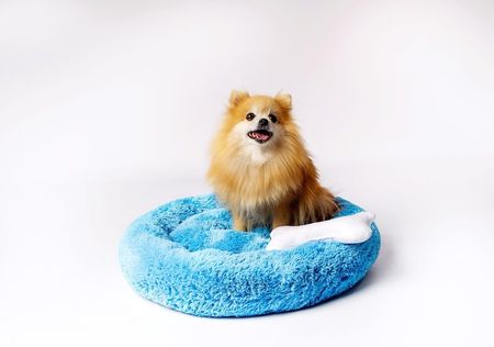 Go Gift Legowisko Shaggy Niebieski M 57X57X10 - zdjęcie 4