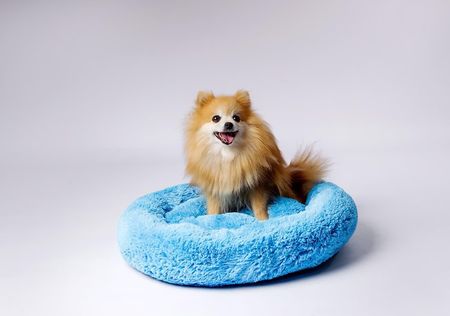 Go Gift Legowisko Shaggy Niebieski M 57X57X10 - zdjęcie 2