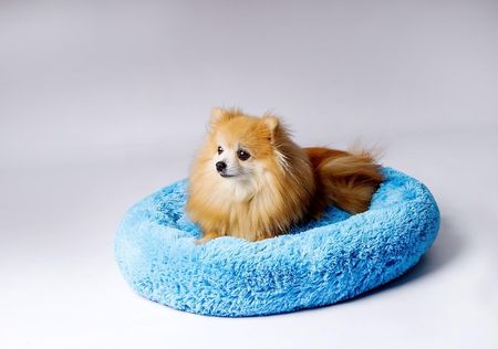 Go Gift Legowisko Shaggy Niebieski M 57X57X10 - zdjęcie 3