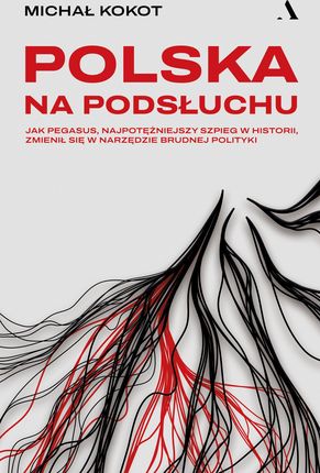 Polska na podsłuchu. Jak Pegasus, najpotężniejszy szpieg w historii, zmienił się w narzędzie brudnej polityki