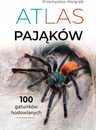 Atlas pająków - Przemysław Malgrab [KSIĄŻKA]