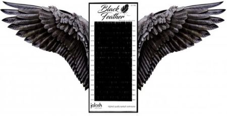 Jolash Rzęsy Czarne Black Feather B 0.07 10Mm