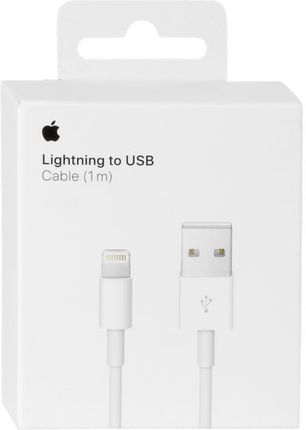 Apple Kabel Iphone Lightning To Usb 1M