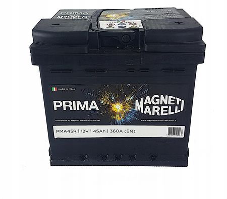 067260040002 MAGNETI MARELLI PMA100R Batteria 12V 100Ah 800A B13