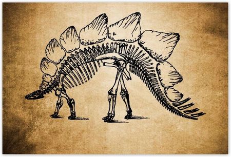 ZeSmakiem 104x70 Dinozaur Prehistoria Dino