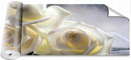 Coloray Białe Róże 250x104
