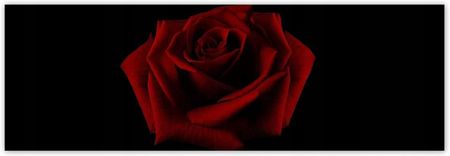 ZeSmakiem 312x104 Piękna Czerwona Róża