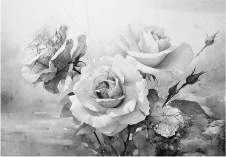 Wallarena Kwiaty 3D Róże Beton Imitacja 254x184