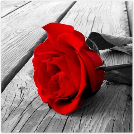 ZeSmakiem 312x312 Czerwona Róża Na Drewnie