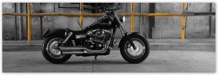 ZeSmakiem 200x66 Harley Davidson