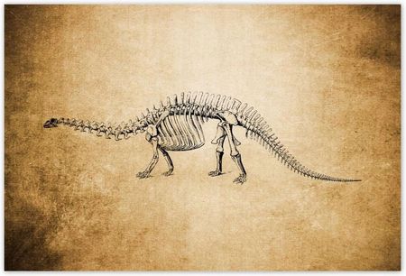 ZeSmakiem 104x70 Dinozaur Prehistoria Dino