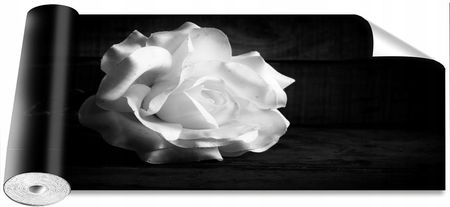 Coloray Okleina Magicstick Biała Róża 250x104