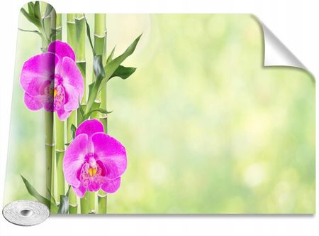 Coloray Magicstick Orchidea I Bambus 416x254