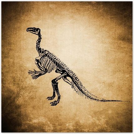 ZeSmakiem Dinozaur Prehistoria Dino