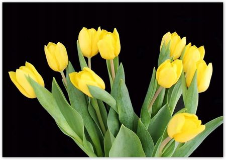ZeSmakiem 312x219 Żółte Tulipany