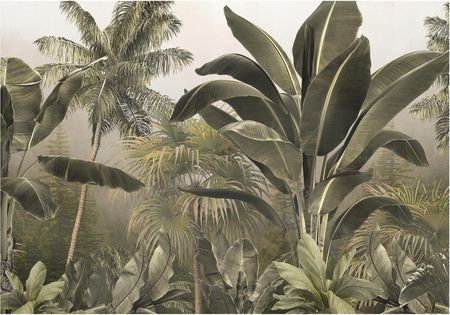 Wallarena Liście Bananowca 3D Dżungla 416x254
