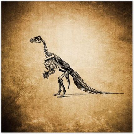 ZeSmakiem 312x312 Dinozaur Prehistoria Dino