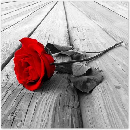 ZeSmakiem 312x312 Czerwona Róża Na Drewnie