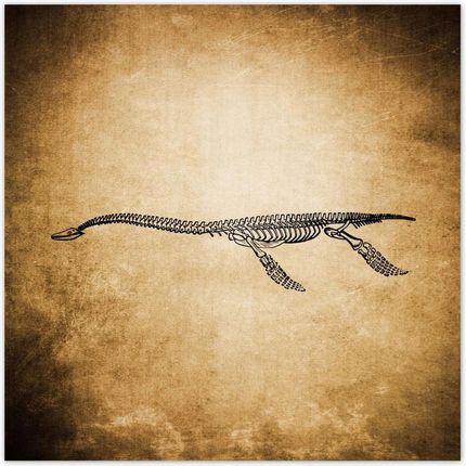 ZeSmakiem 312x312 Dinozaur Prehistoria Dino