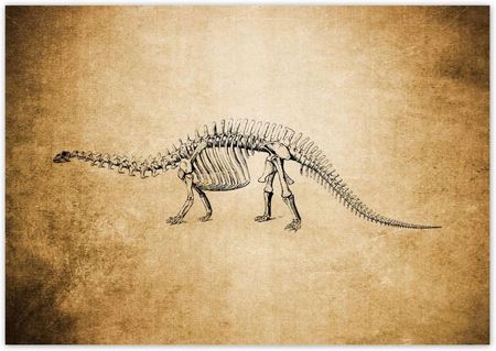 ZeSmakiem 208x146 Dinozaur Prehistoria Dino