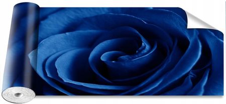 Coloray Róża Niebieski 250x104