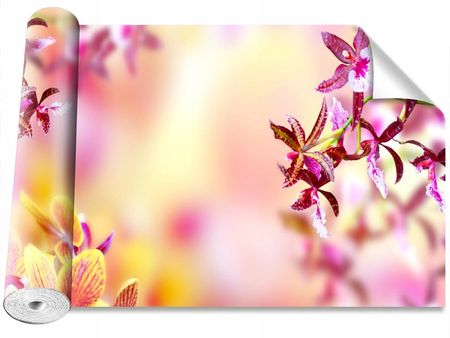Coloray Peel & Stick Orchidea Różowy 416x254