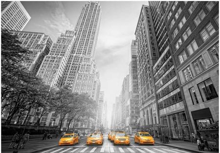 Deconest New York Yellow Taxis 450x315