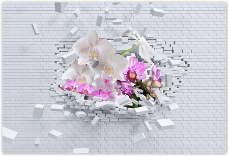ZeSmakiem 104x70 Storczykiem W Mur Kwiaty
