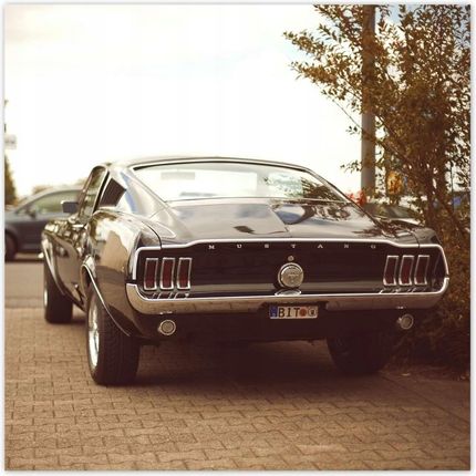 ZeSmakiem 312x312 Vintage Foto Ford Mustang