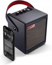 Positive Grid Spark MINI