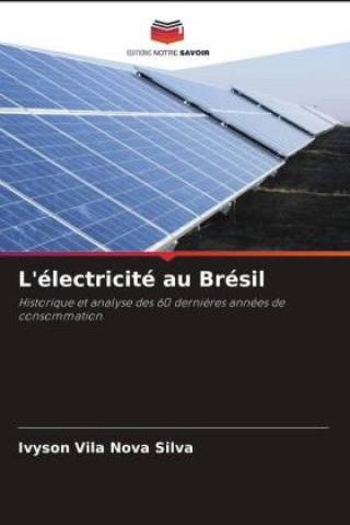 L électricité au Brésil Literatura obcojęzyczna Ceny i opinie