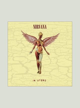 Płyta winylowa Nirvana - In Utero (30th Anniversary) (Super Deluxe