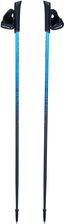 Zdjęcie Kije Do Nordic Walking Dla Dorosłych Viking Pro-Trainer Jednosekcyjne - Jasień
