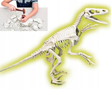Clementoni Zabawki Kreatywne Eksperymenty Dinozaur Z Gipsu