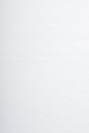 Netuno Papier Techniczny Brystol Biały 250G B2 10Ark.