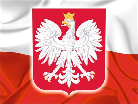 Agmart Naklejka Magnes Flaga Godło Polska Na Tablice Adr