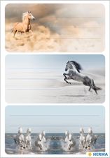 Zdjęcie Naklejki Szkolne Konie 9Szt Herma - Swarzędz